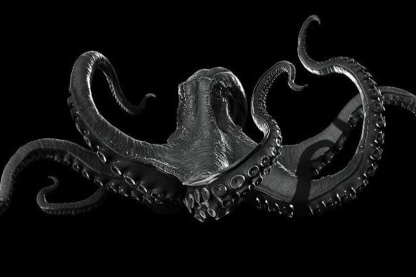 Kraken 18