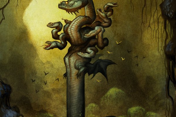 Kraken 19at