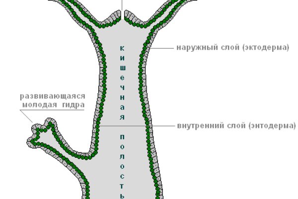 Кракен ссылка 2web krakendark link