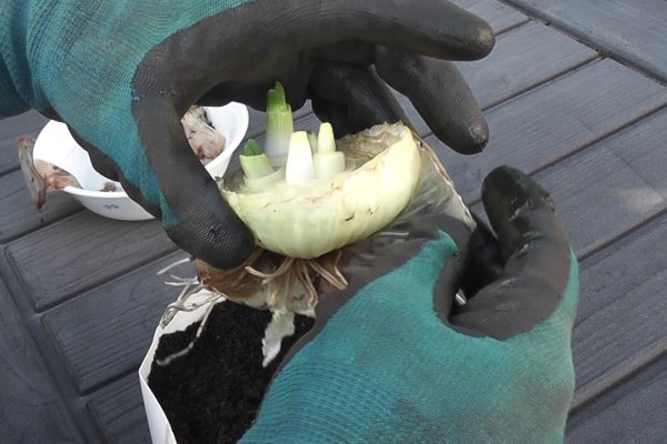 Onion сайт кракен