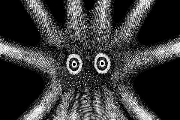 Kraken ссылка kraken clear com